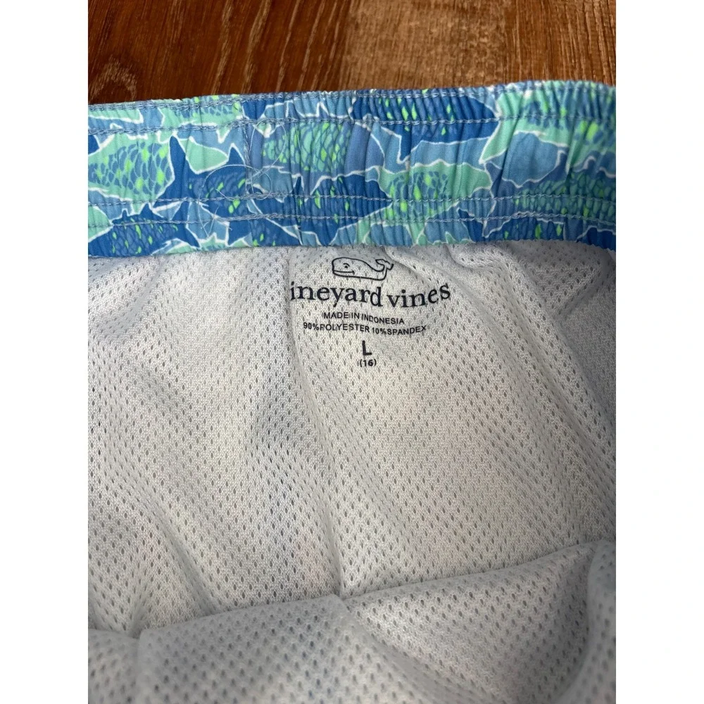 Vineyard Vines Boys Blue Green Fish Print Swim Trunks Size L 14:16 Mesh Lined